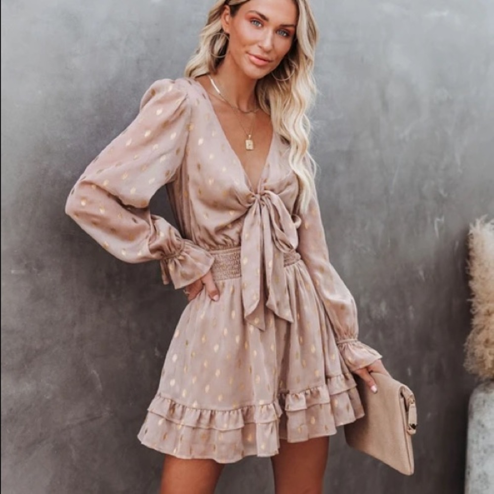 NWT VICI Smocked Metallic Tie Dress in Latte